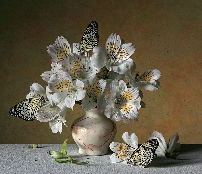 butterflies on alstroemeria flowers