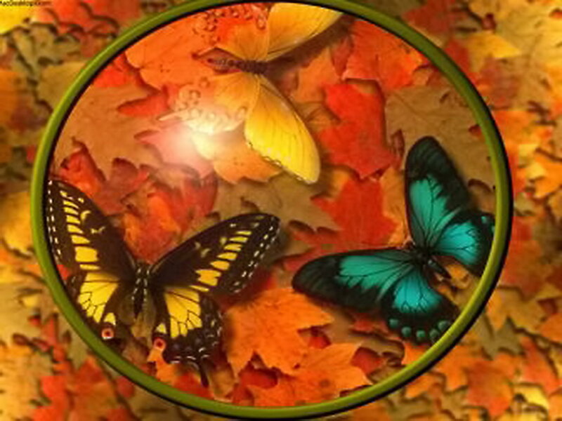 Butterflies on Autumn Leaves — Orange