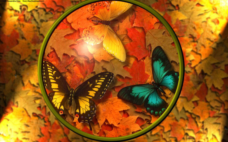 Butterflies on autumn leaves