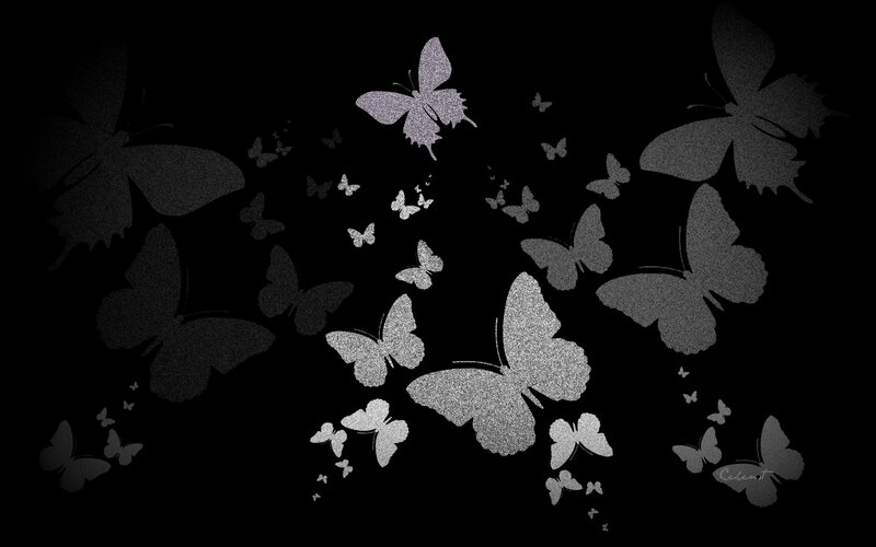 Butterflies on Black Background — Serene