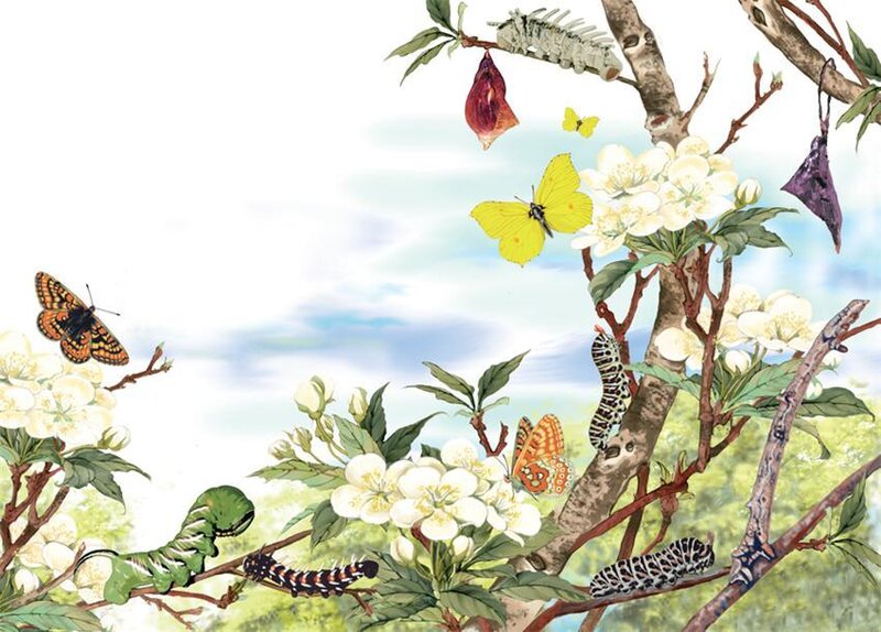 Butterflies on Blossoming Tree