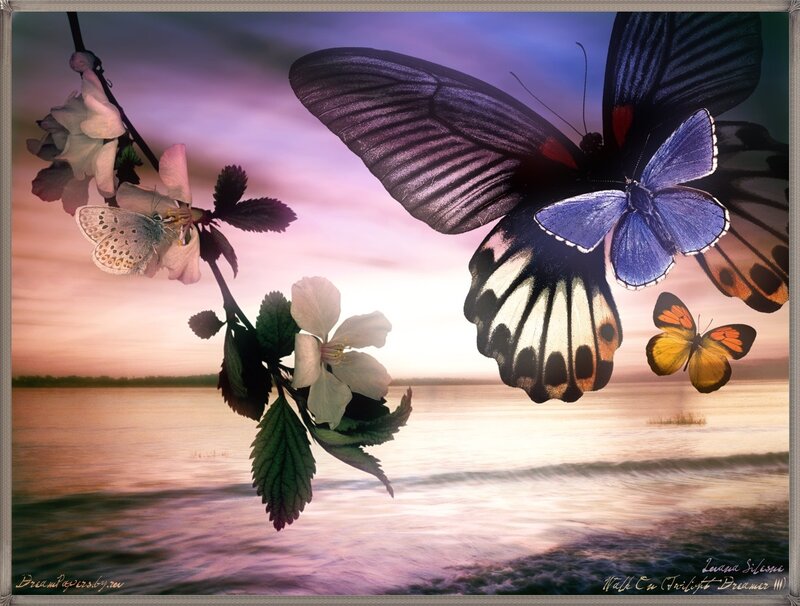 Butterflies on Blossoms — Purple