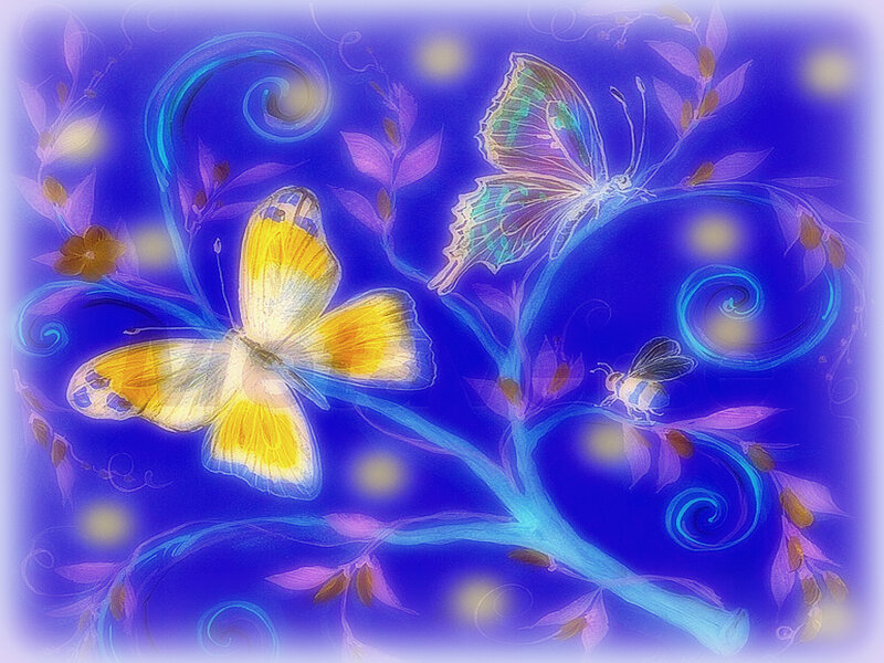 Butterflies on Branches