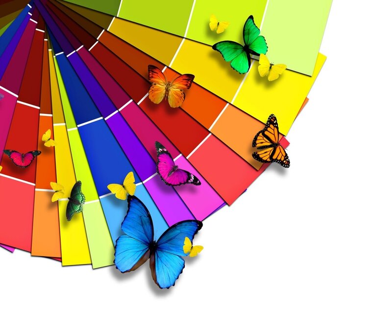 Butterflies on Color Swatches