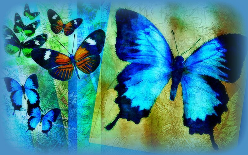 Butterflies on Colorful Background — Blue