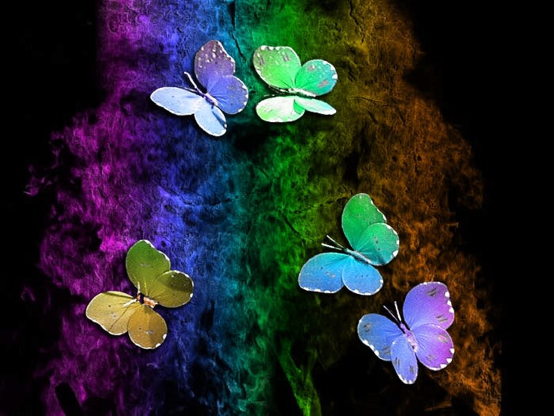 Butterflies on Colorful Background — Purple