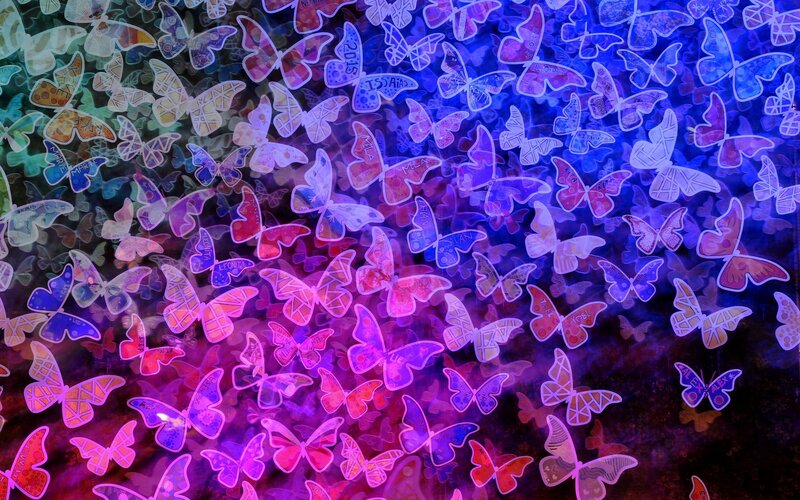 Butterflies on Dark Background
