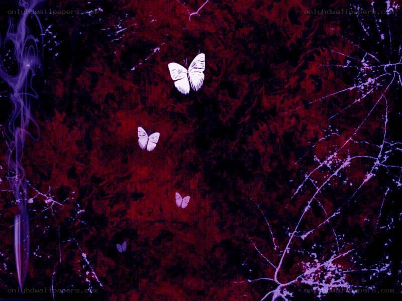 butterflies on dark red background