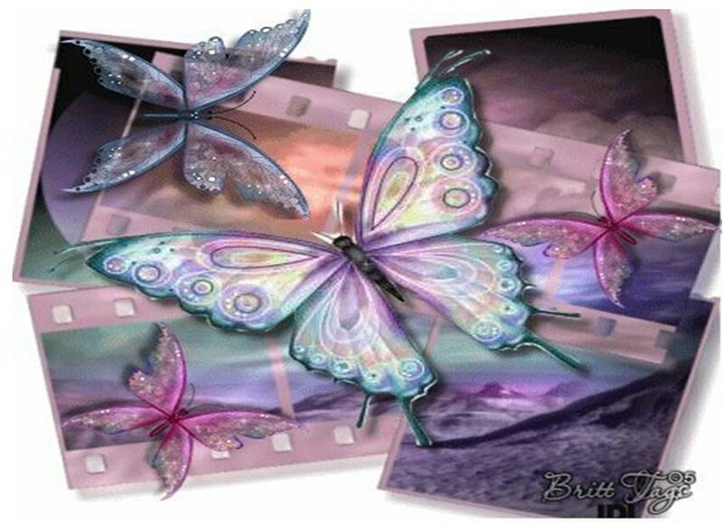 butterflies on film strips