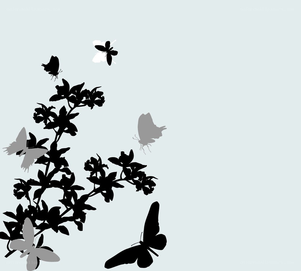 butterflies on floral branches