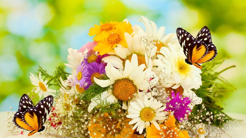 Butterflies on Flower Bouquet