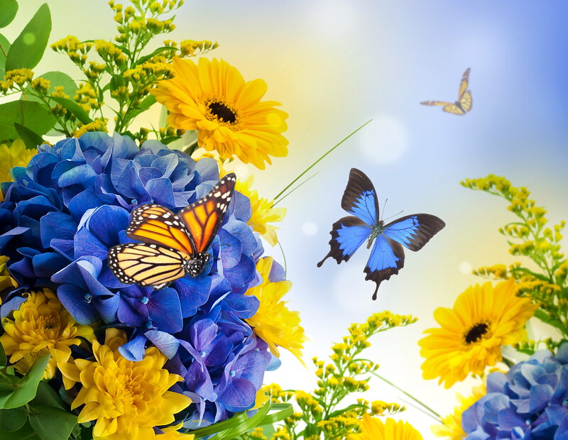 Butterflies on Flowers — Blue, Serene, Afternoon, Photograph