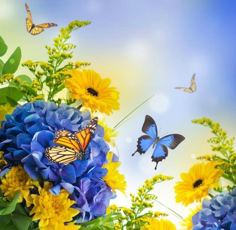 Butterflies on Flowers — Blue, Serene, Afternoon
