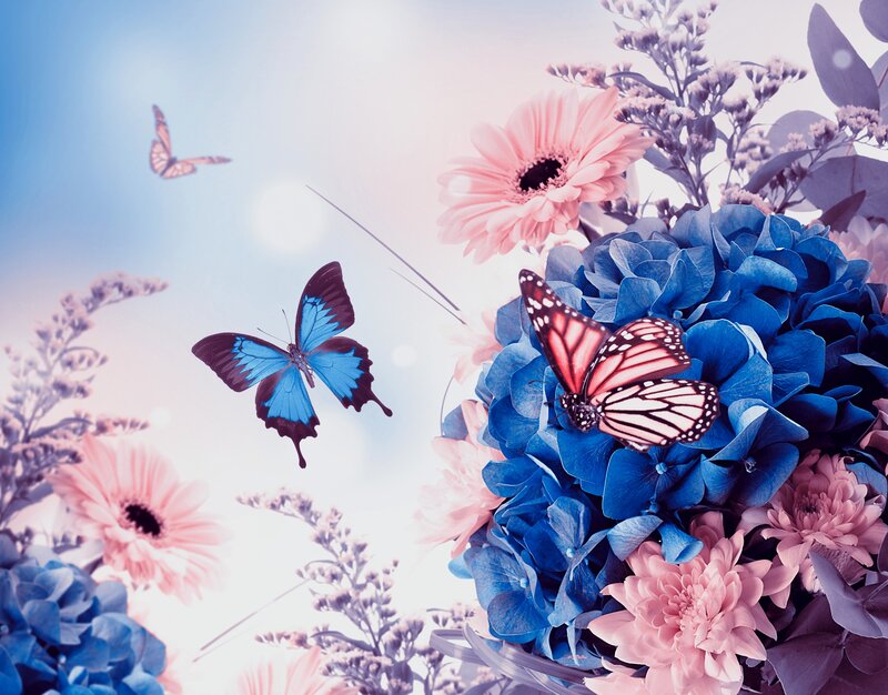 Butterflies on Flowers — Blue, Serene, Spring