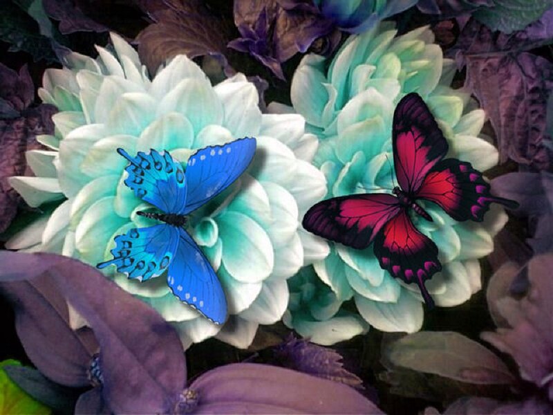 Butterflies on Flowers — Blue, Serene