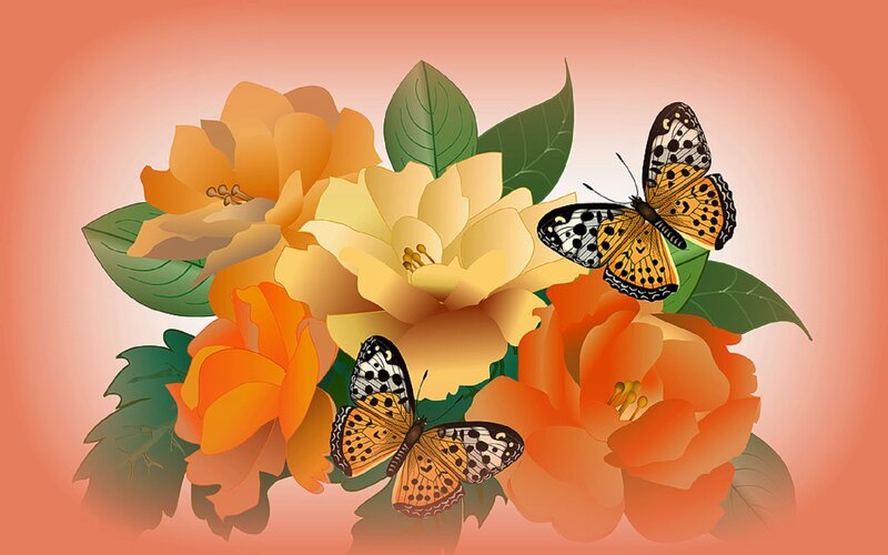 Butterflies on Flowers — Orange, Calm