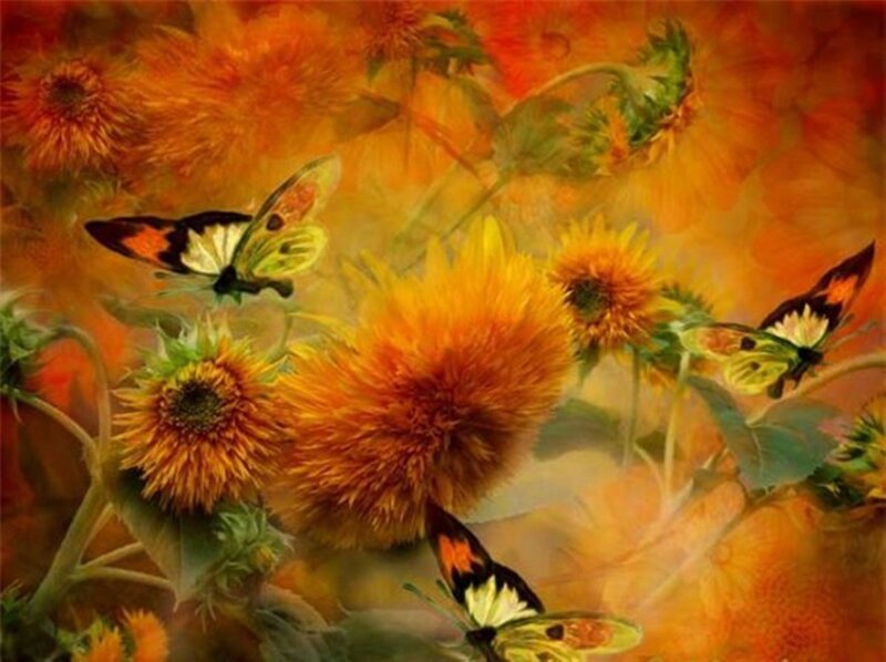 Butterflies on Flowers — Orange, Vibrant