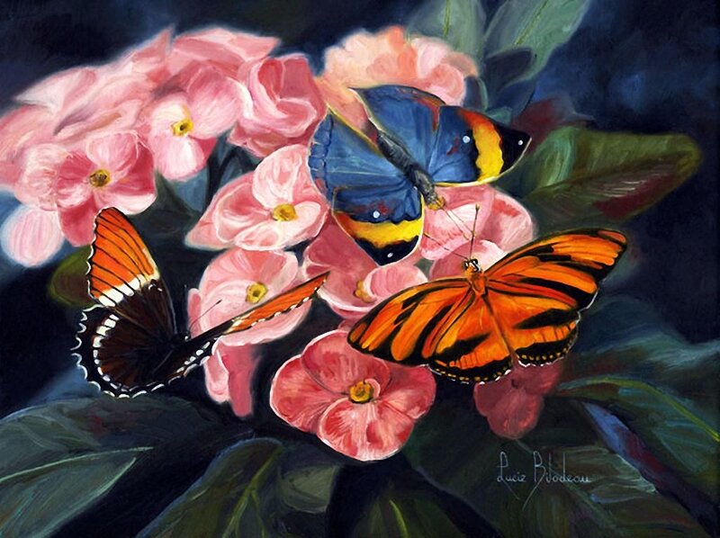 Butterflies on Flowers — Pink, Dramatic