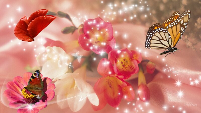 Butterflies on Flowers — Pink, Dreamy