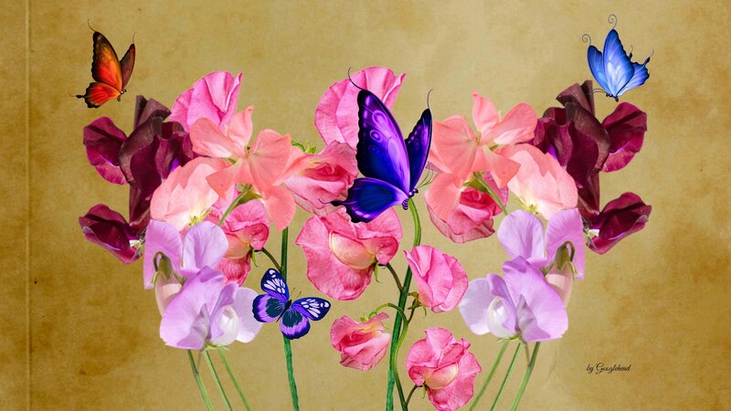 Butterflies on Flowers — Pink, Serene, Digital Art, Butterfly