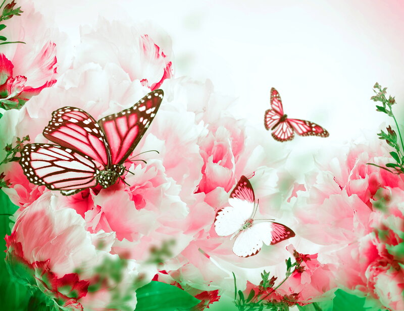 Butterflies on Flowers — Pink, Serene, Spring, Digital Art, Greenery