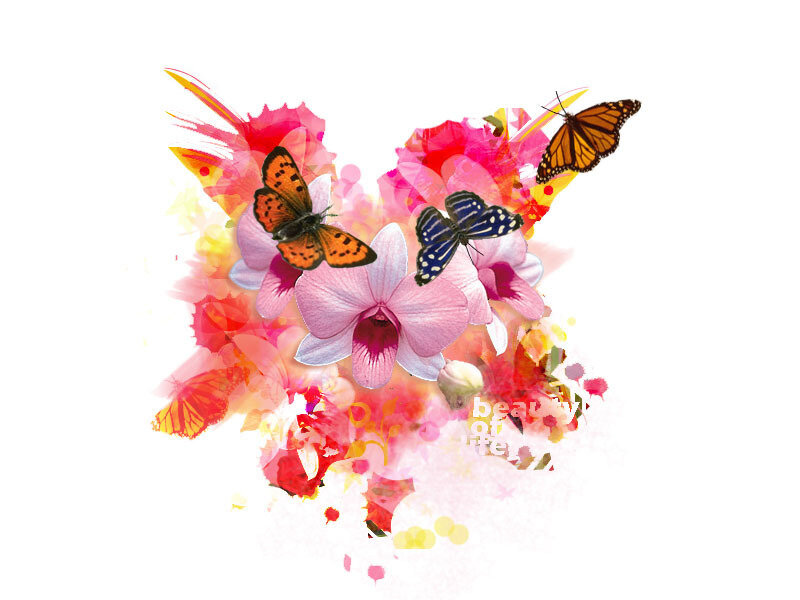 Butterflies on Flowers — Pink