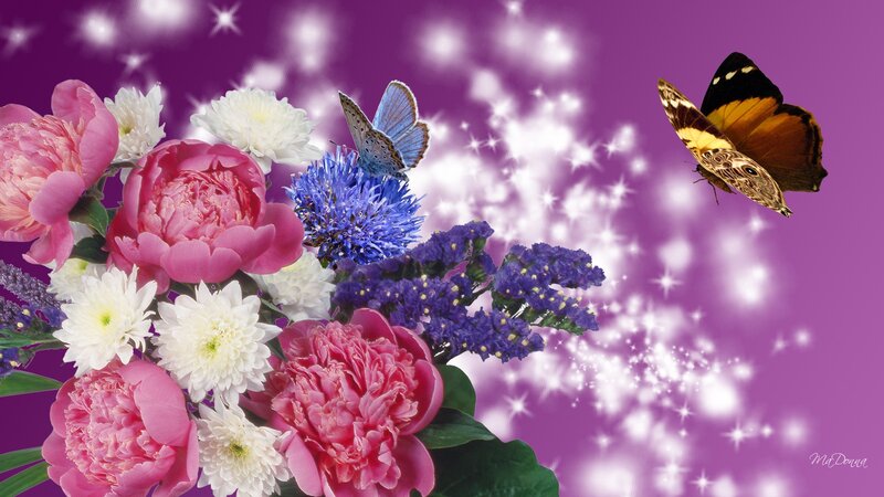 Butterflies on Flowers — Purple, Magical