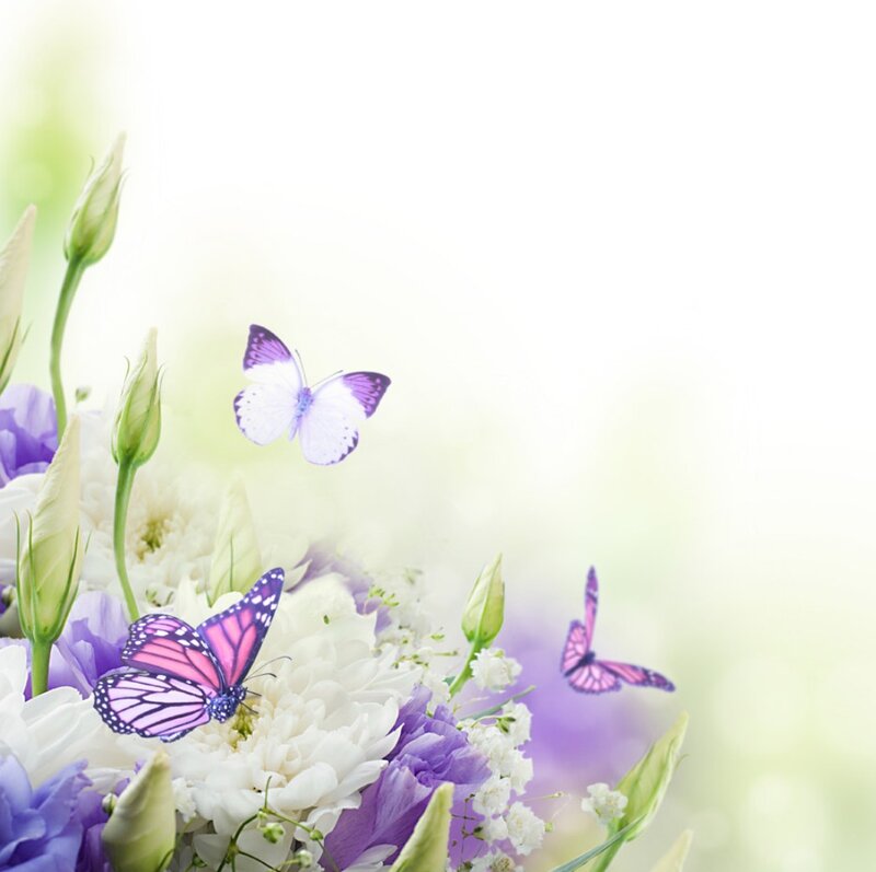 Butterflies on Flowers — Purple, Serene, Spring