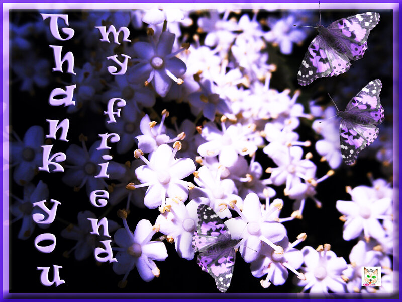 Butterflies on Flowers — Purple, Serene