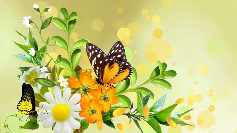 Butterflies on Flowers — Yellow, Serene, Spring