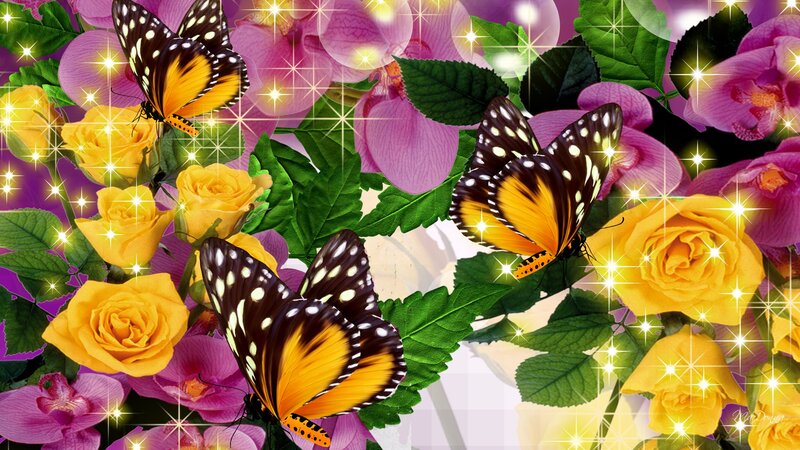 Butterflies on Flowers — Yellow, Sparkling