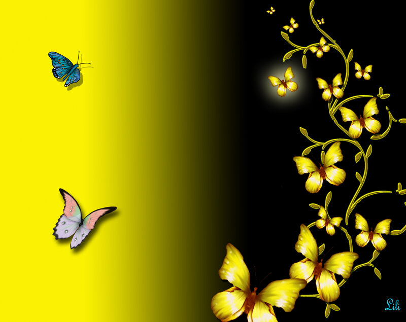 Butterflies on Gradient