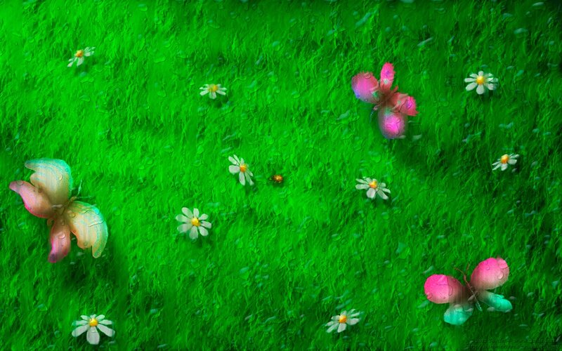 Butterflies on Grass — Green