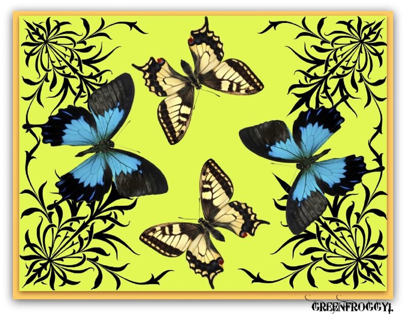 Butterflies on Green Background — Calm