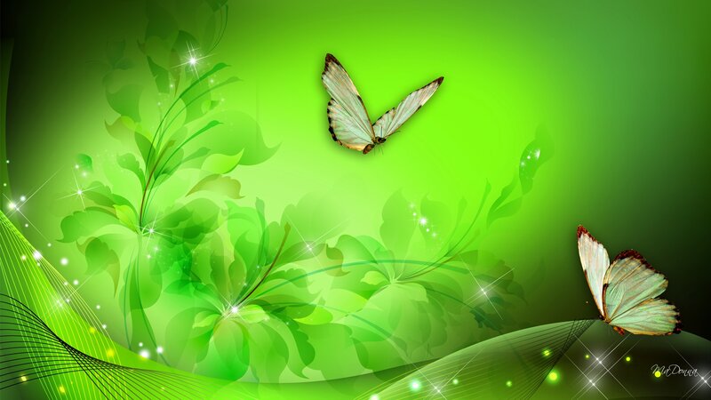 Butterflies on Green Background