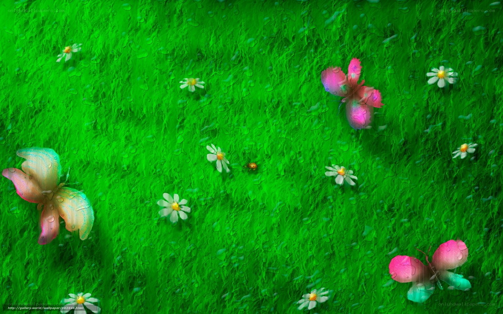 butterflies on green grass