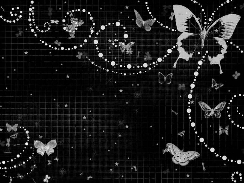 Butterflies on Grid