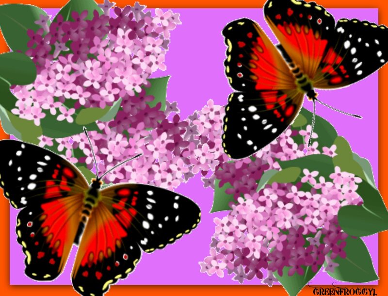 Butterflies on Lilac Flowers — Purple