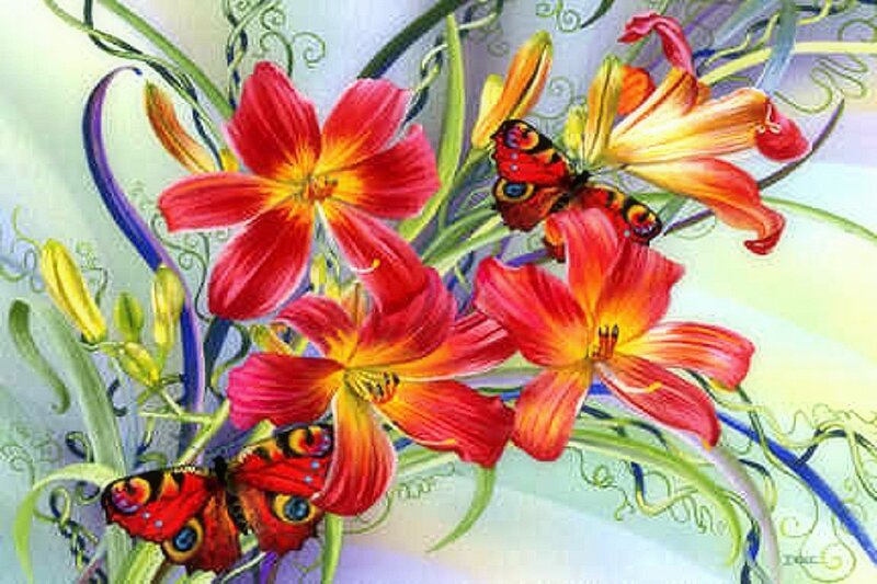 Butterflies on Lilies