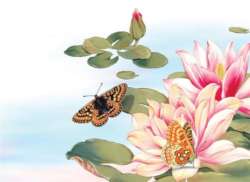 Butterflies on Lotus Flowers