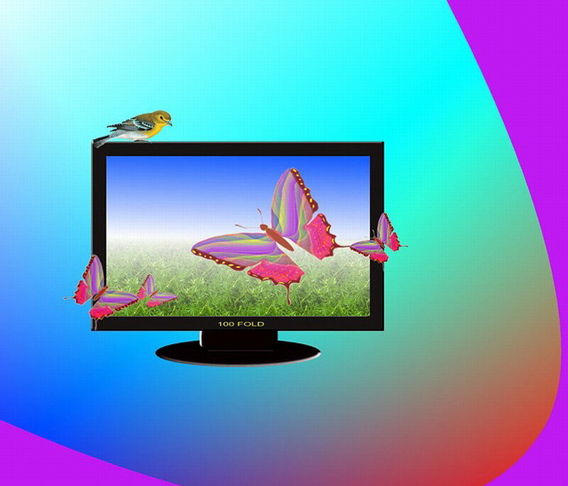 Butterflies on Monitor