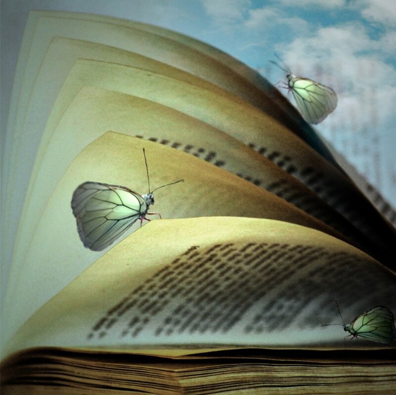 Butterflies on Open Book