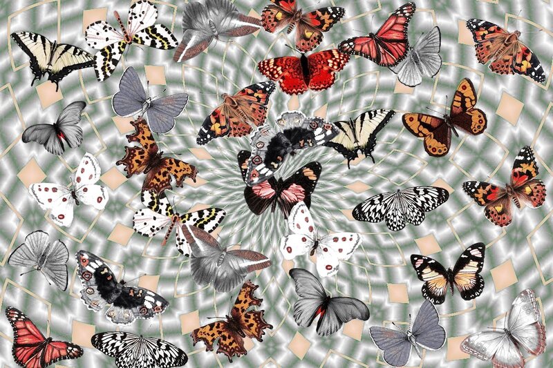 Butterflies on Patterned Background
