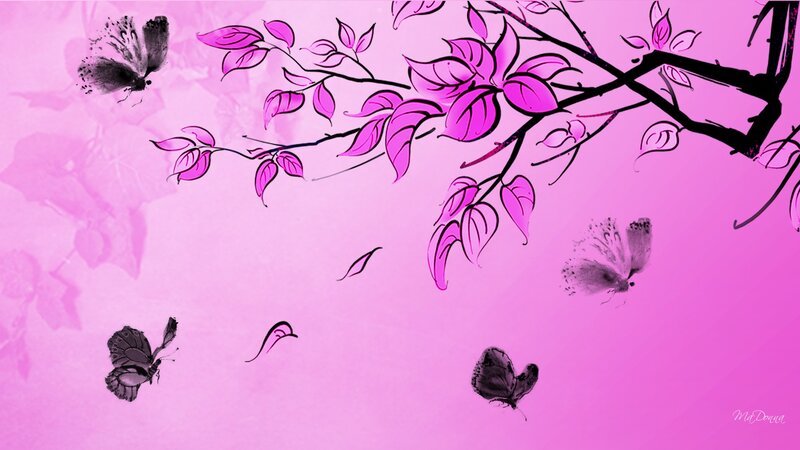 Butterflies on Pink Branch