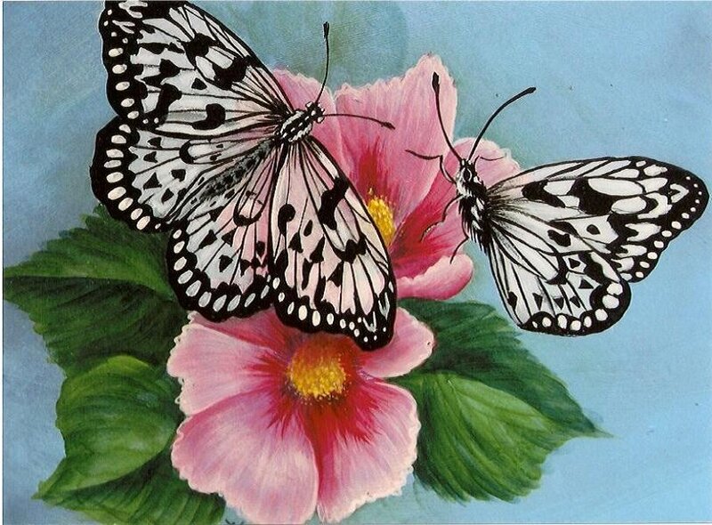 Butterflies on pink flowers