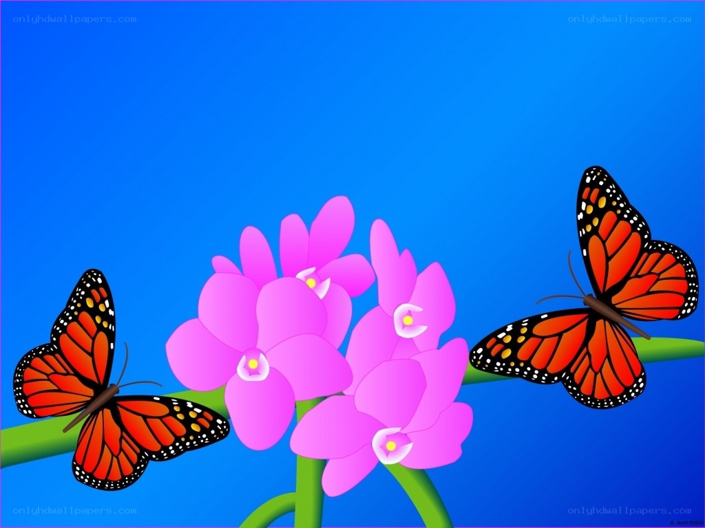butterflies on pink flowers