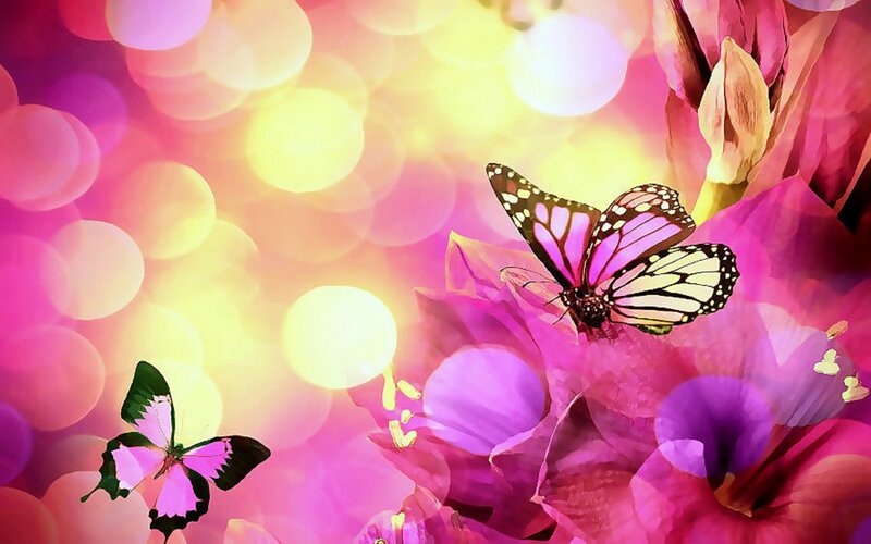 Butterflies on Pink Flowers — Dreamy