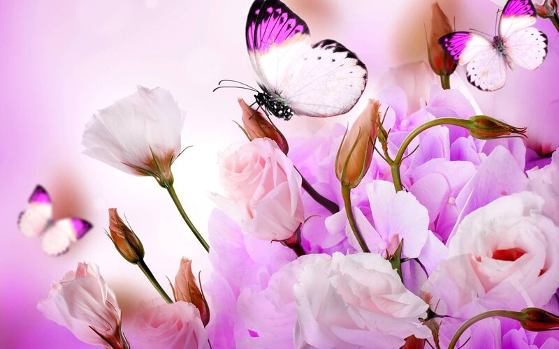 Butterflies on Pink Flowers — Serene, Digital Art, Butterfly