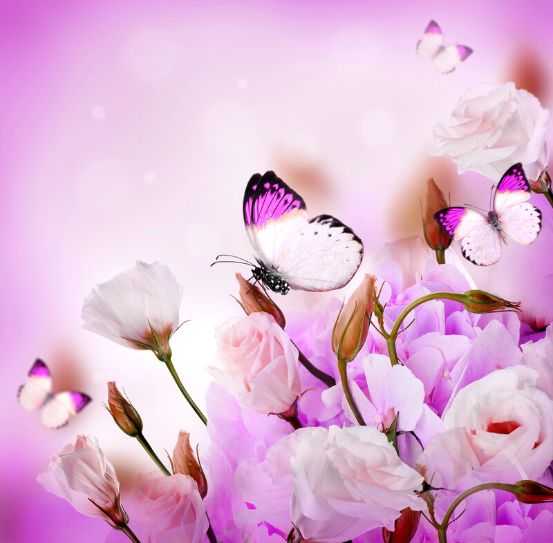Butterflies on Pink Flowers — Serene, Digital Art