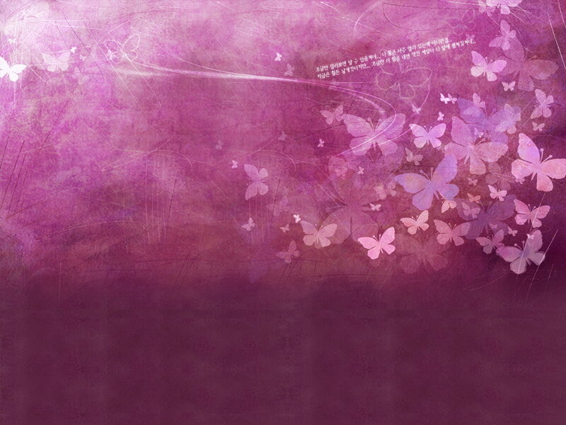 Butterflies on Purple Background — Dreamy